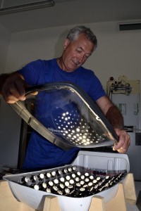 Turáncsics Mihály